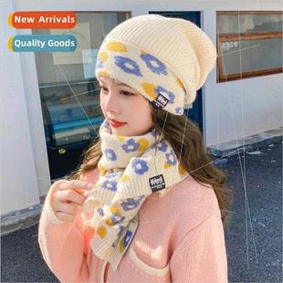 fall Korea knitted hats winter and wool womens cap new 2022