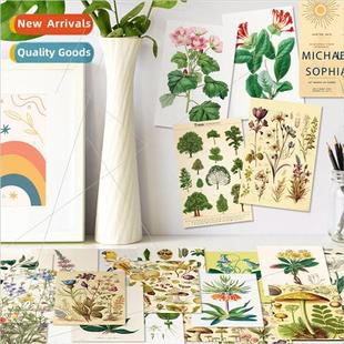 decoration fre and card wall mingxin mori ins fauna flora