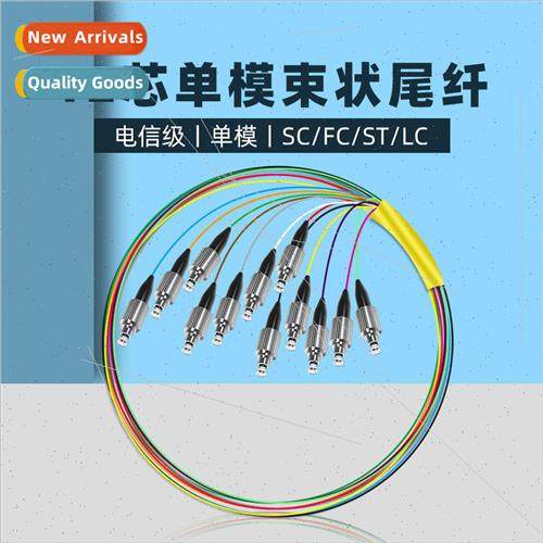 SC/ST/FC/LC/UPC nglemode Pigtail Patch Cord 12 Core Tail 0.9