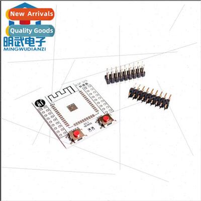DIY ESP-32S Matching Adapter Plate