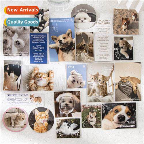 Love pet big secret series of stickers Korean cats and dogs