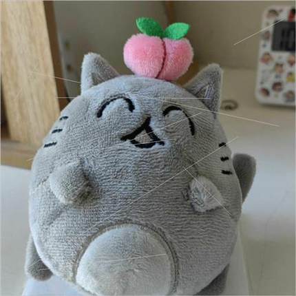 Small 17 Wen Junhui liquid cat FIFI cat doll keychain Wen cl