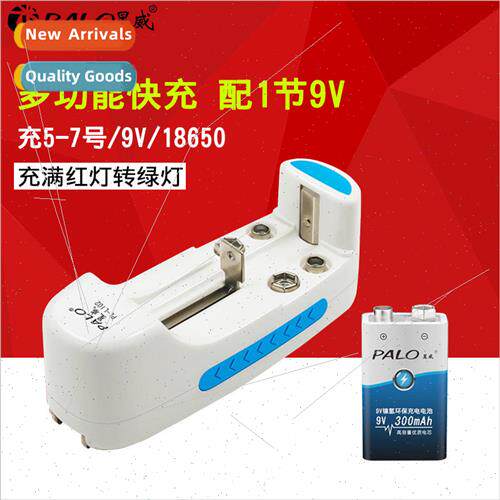 9V Rechargeable Battery Charger Set 6F22 Metal Detector Smok