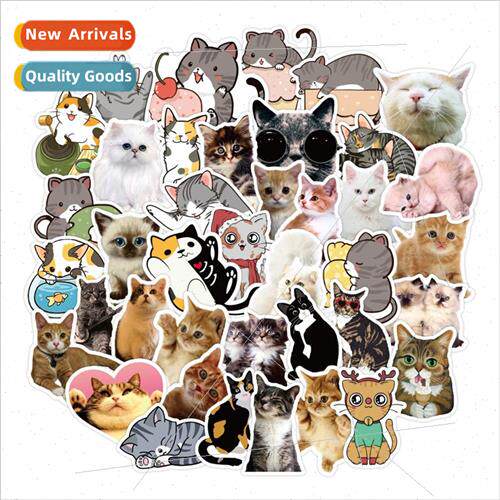 50 pcs of cute cat series graffiti stickers car luggage guit