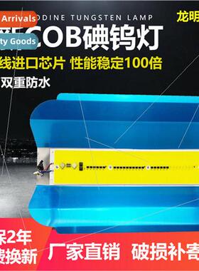 COB tungsten iodine lamp LED high brightness waterproof floo