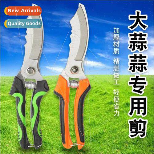 Carbon Steel Garlic Scissors Elbow Double Color Handle Garli