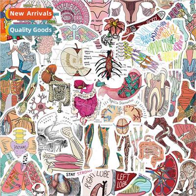 50 Anatomy Stickers Doodle Stickers Cell Phone Case Mug Guit