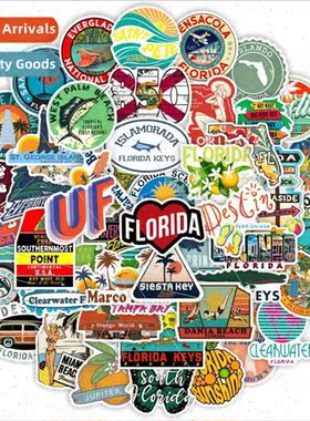 Florida 50 pcs matte film model -repeatable stickers hot sal