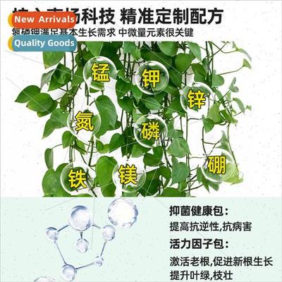 Green plant nutrient solution fertilizer universal flower pl