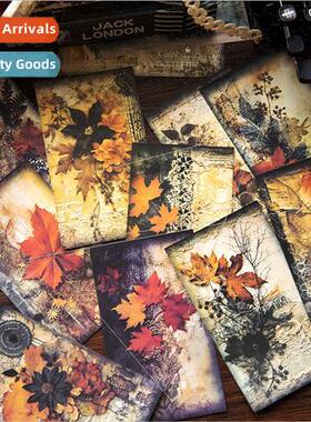 Floating fe Flowers Series Material Book Retro Flower Tearab