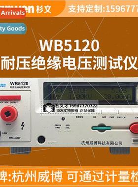 WB5120 Programmable Voltage and Insulation Tester with Digit