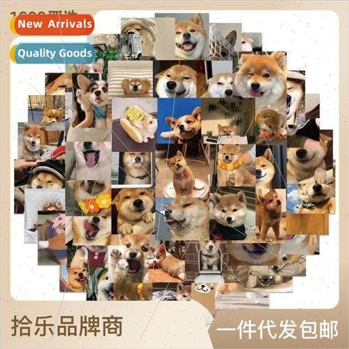 55 cute corgi shiba inu small expression graffiti stickers d