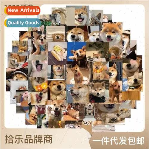 55 cute corgi shiba inu small expression graffiti stickers d