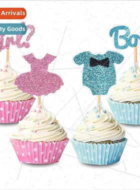 Gender Reveal Cake Decorating Inserts Blue Pink 12 Boys Girl