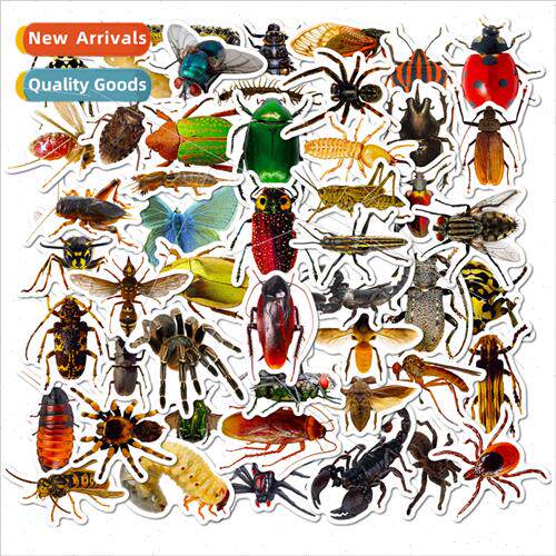 50 realistic insect stickers shein spider lizard realistic i