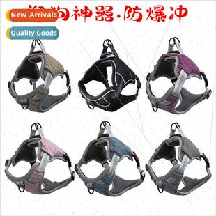 Outdoor Dog Walker Explosion Proof Flush Breakaway Small & M