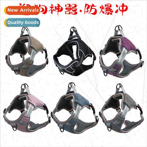 Outdoor Dog Walker Explosion Proof Flush Breakaway Small & M