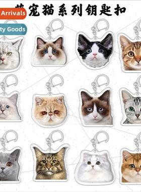 Ragdoll Chinchilla amese Cute Cat Pendant