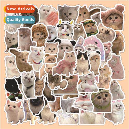 60 realistic kitten stickers cartoon cute cute pet handbook
