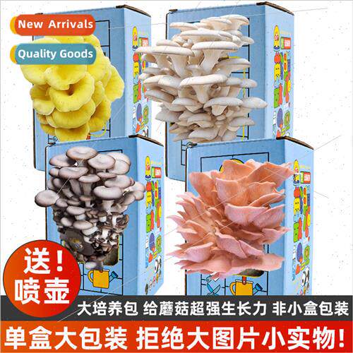 Mushroom Growing Box Home Grow Your Own Edible Mushroom Kits