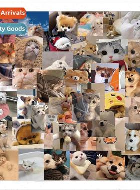 48 cute cat and dog emoji pack graffiti stickers personalize