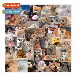 and dog stickers cute personalize graffiti cat pack emoji