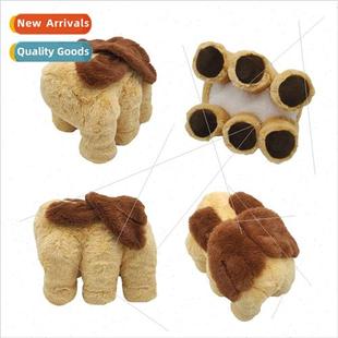 movie around chi legend morris the shang and