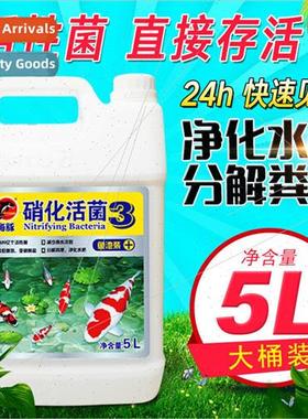 Dolphin aquarium nitrifying bacteria aquarium water purifier