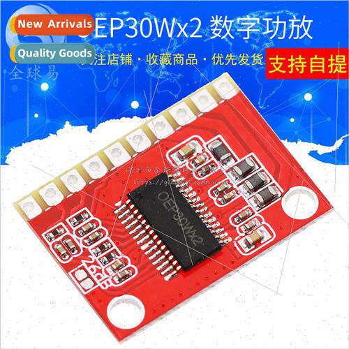 OEP30WX2 Dual Channel Companion Digital Amplifier Board High