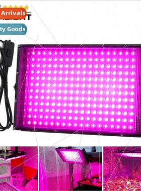 led full spectrum plant light nursery succulent fill light 5