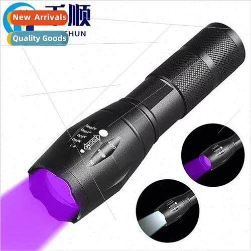 Fluorescence detection lighting dual-use high-brightness fla