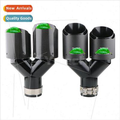 AK Scorpion Labeled Dual Pipe True Carbon Fiber Tailpipe Y T