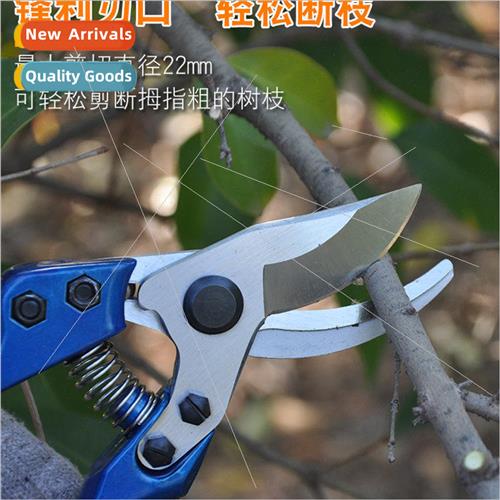 Garden Pruning Fruit Tree Shears Labor Saving Fruit Tree She