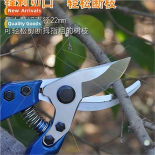 Tree Fruit Shears Labor She Garden Saving Pruning