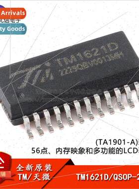 al TM1621D New Version QSOP-24 Memory Image Versatile LCD Dr