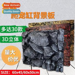 plate and tank rocks background dimensional Fish three