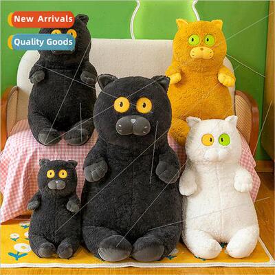 Cute nerdy staring cat doll boy and girl cat doll pillow sof