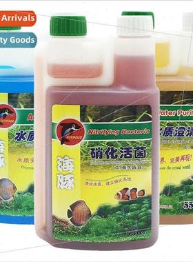 Dolphin aquarium nitrification water  clarifier aquarium wat