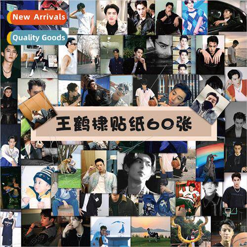 60 pcs of Wang Hedi stickers Decorative notebook cell phone