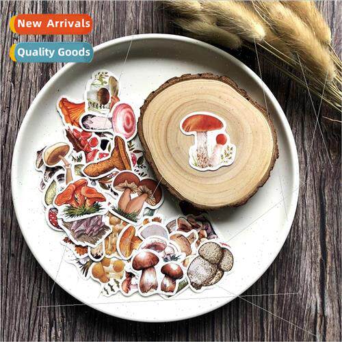 Retro  mushroom series cute girl stickers handbook cell phon