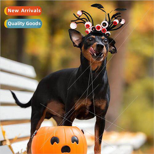 Halloween pet dress up headdress dog holiday spooky photo ha