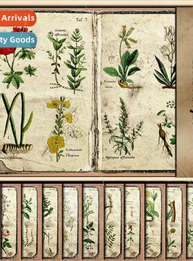 Vintage Ferns Illustrated Material Paper 12 pcs Botanical Pa