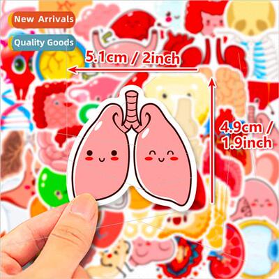 50 pcs of children puzzle cute human body organs shein stude