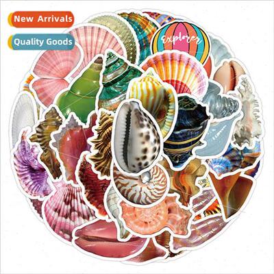 50 shells conch cute graffiti stickers decorative water cup