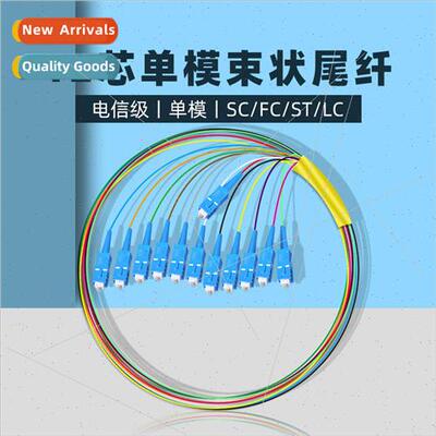 SC/FC/LC/ST bundle pigtail 12 core single mode pigtail patch