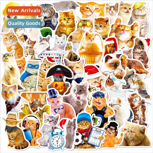 50 pcs realistic cat stickers new cute cat cartoon doodle st