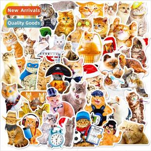 50 pcs realistic cat stickers new cute cat cartoon doodle st