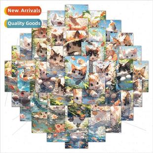 cat pcs water laptop scoot fun quirky loving childrens