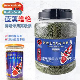 Dolphin koi cyanobacteria enrichment food dolphin koi fish f