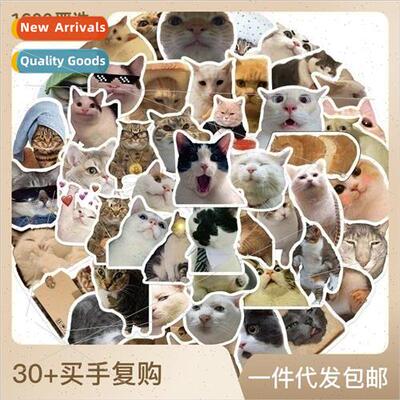 50 cat emoticon doodle stickers can be decorated luggage pen